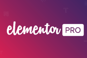 Elementor Pro WordPress Page Builder (Demo)